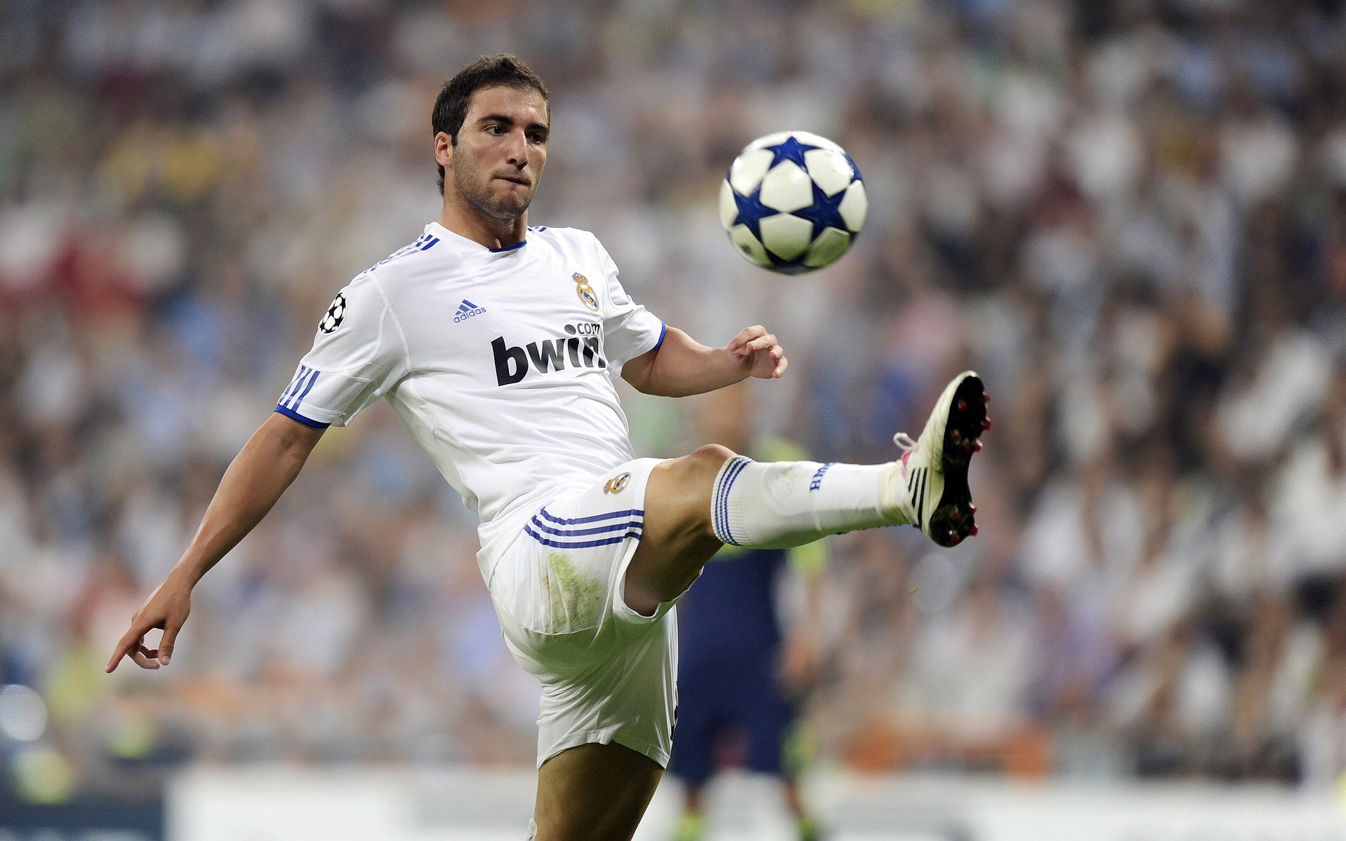 公牛前途光明!德约科维奇新星夺冠表现突出再创辉煌时刻